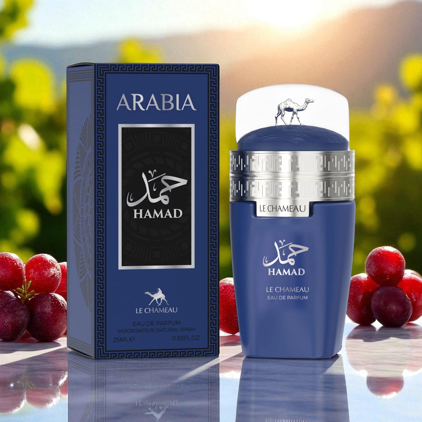 Arabia Hamad Eau De Parfum – 100ML